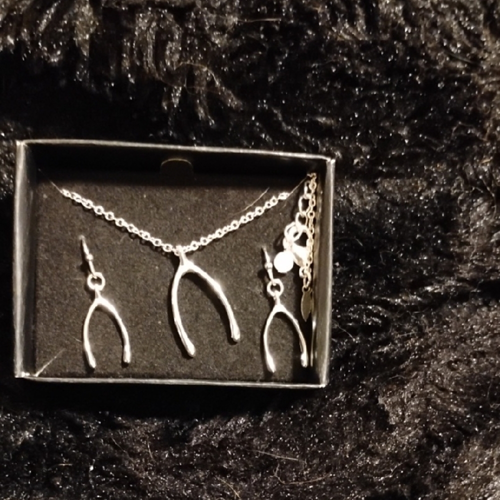 Silver Wishbone Necklace and Earring Set